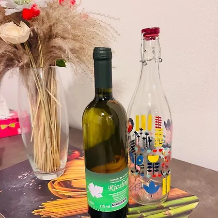 Apartman Alex Castle